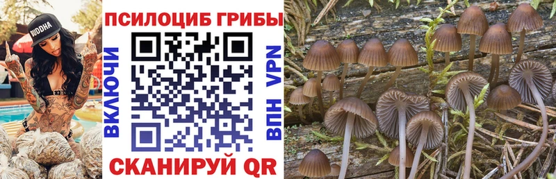 где купить наркоту  Киселёвск  Псилоцибиновые грибы Magic Shrooms 